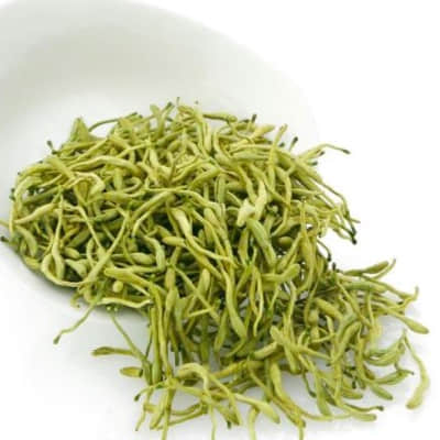 忍冬（金银花）