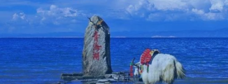 青海专区