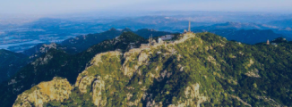 山东专区